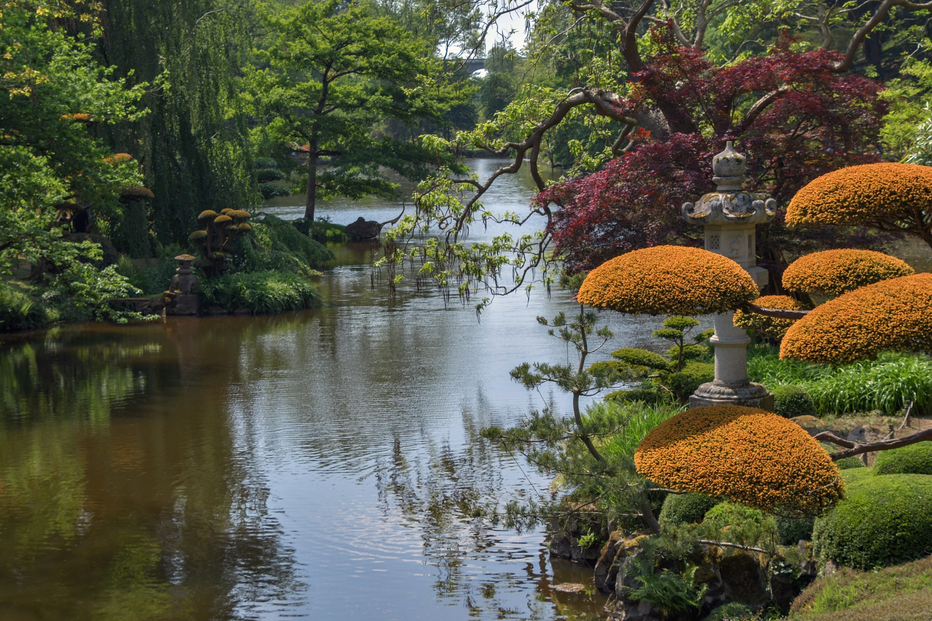 garden-g12488527c_1920